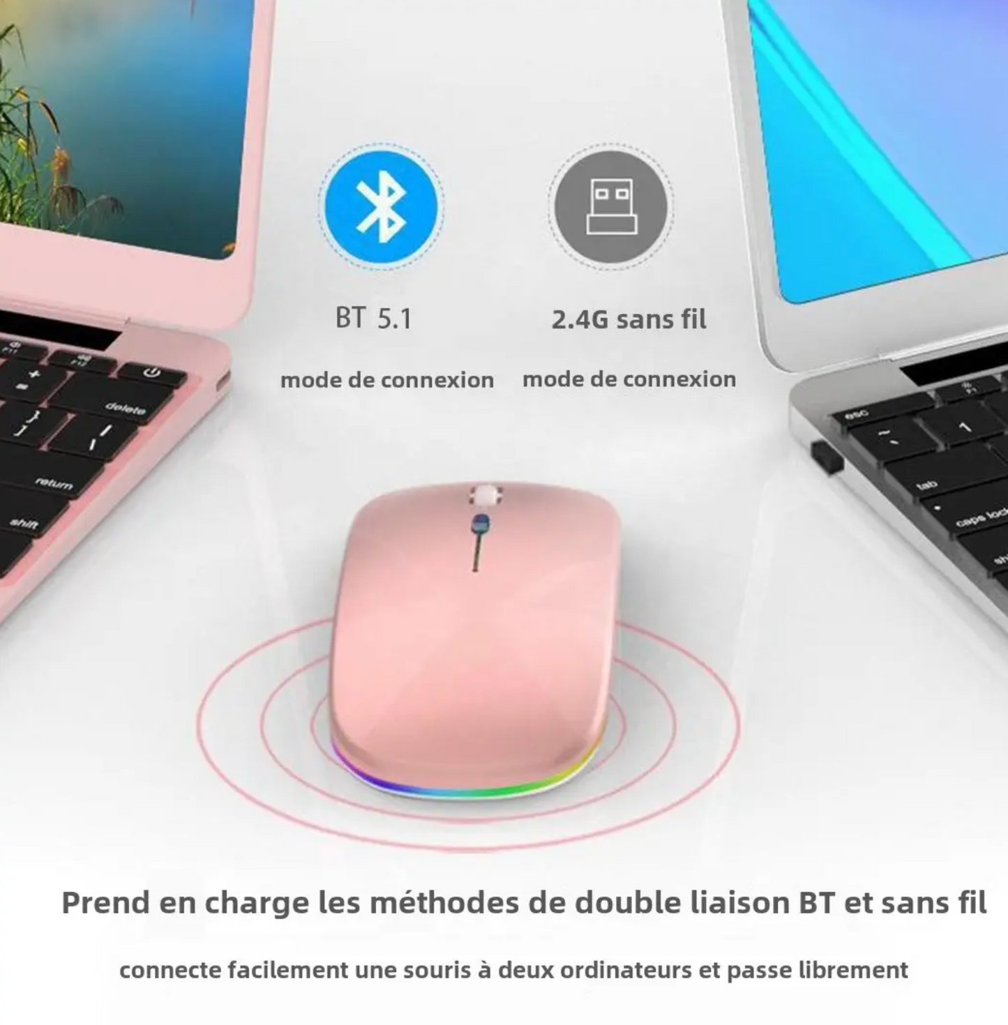 🖱 Souris Sans Fil HP W10 RGB