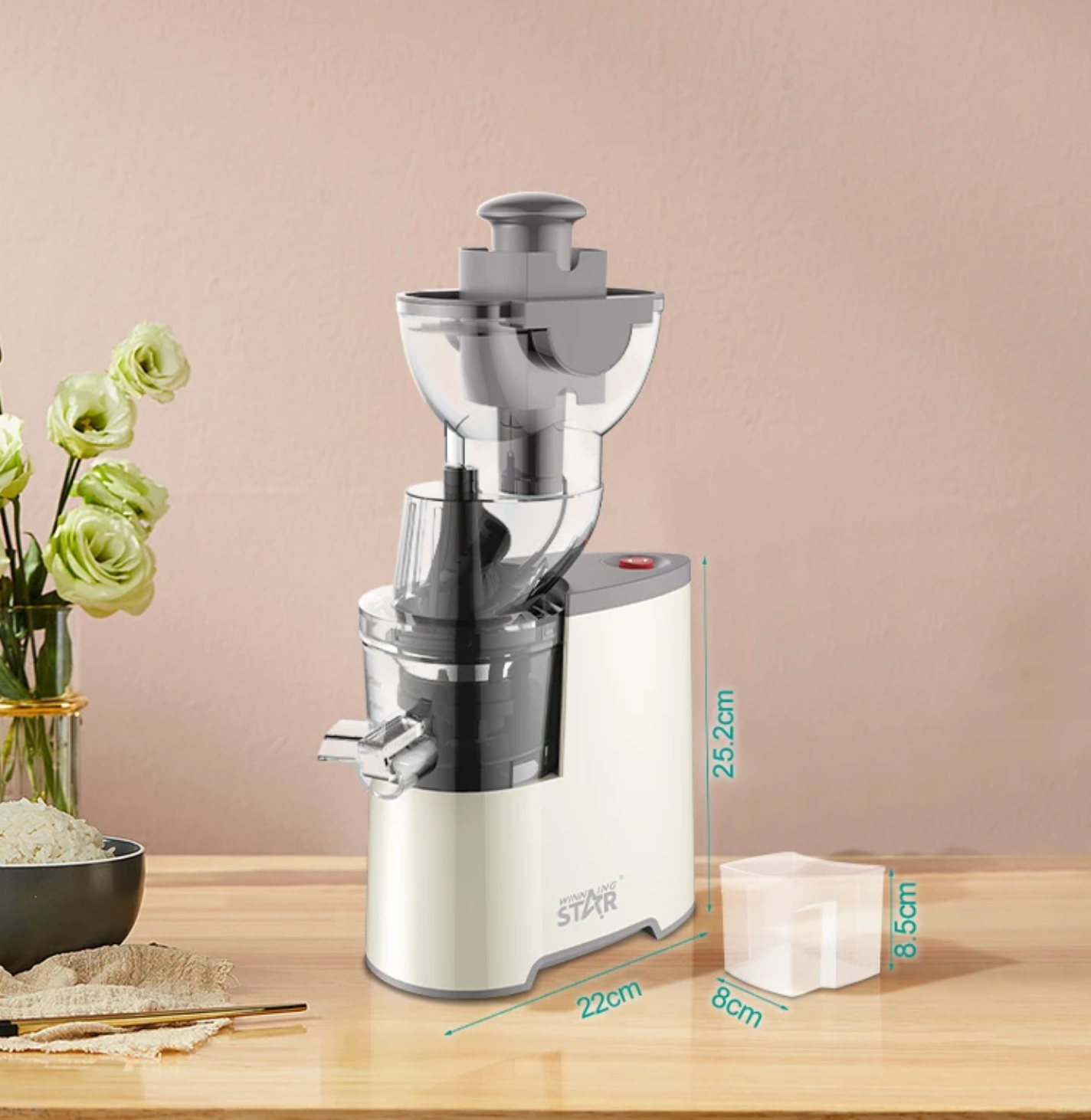🥤 Extracteur de Jus Winning Star ST-5598 – 300 mL