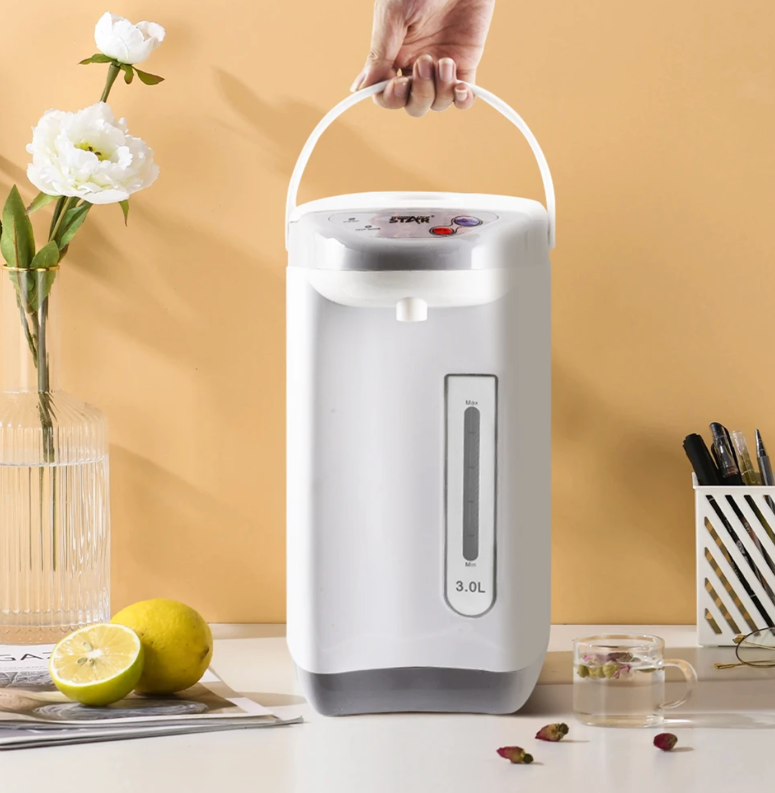 Bouilloire Électrique Winning Star ST-6026 (3L)