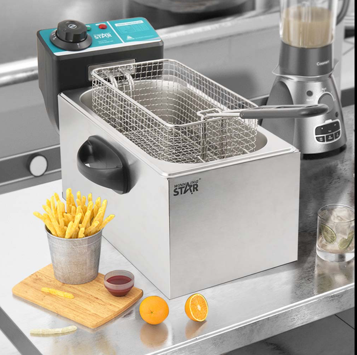 FRITEUSE ÉLECTRIQUE WINNING STAR ST-9203