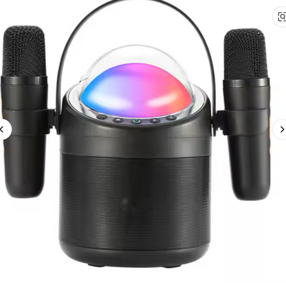 🎤 Enceinte Bluetooth Karaoké WSTER WS-960