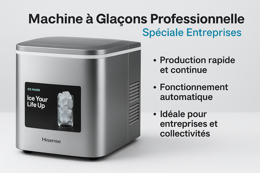 IceMaster Pro: La Révolution du Glaçon